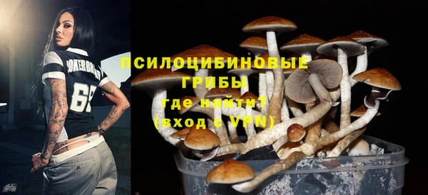 скорость Горняк