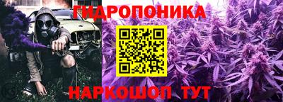 ECSTASY Кимры