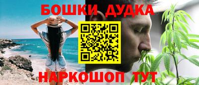 прущие крисы Кингисепп
