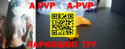 прущие крисы Кингисепп