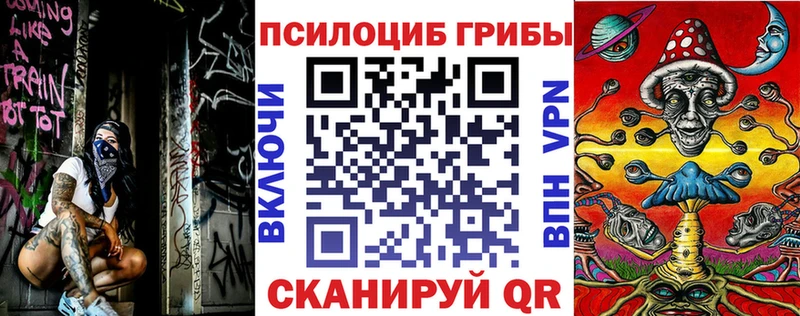где найти   Кисловодск  Галлюциногенные грибы Psilocybe 