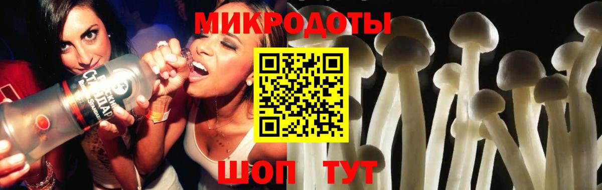 Псилоцибиновые грибы Cubensis  Вход с VPN  Кисловодск 